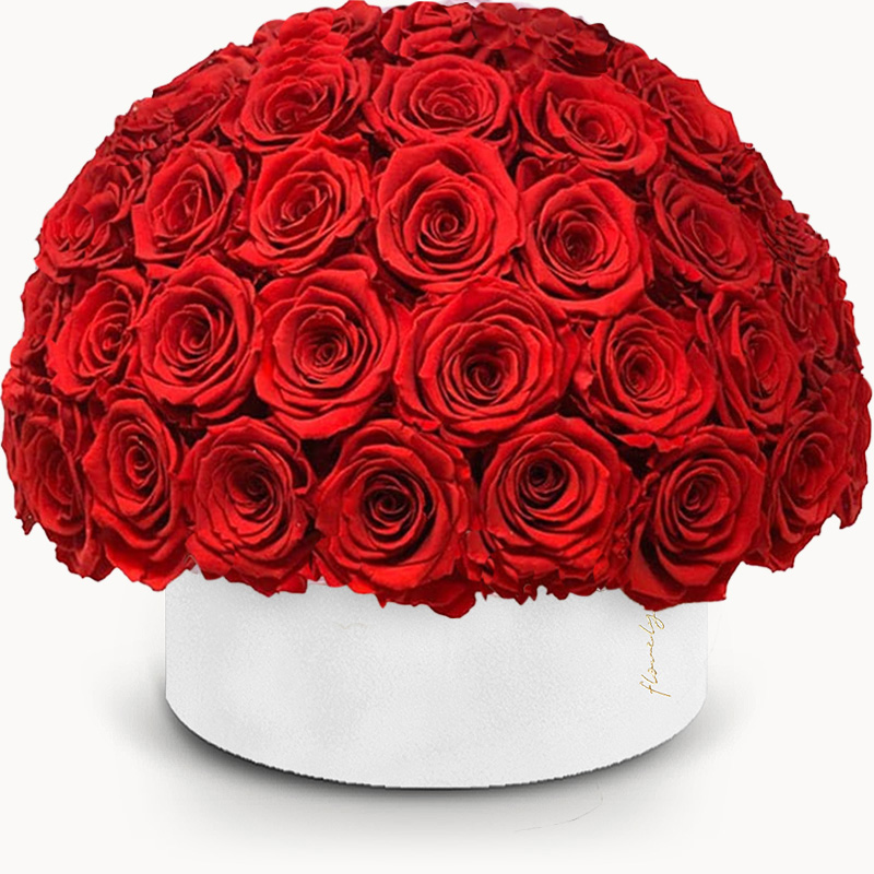 100 czerwonych wiecznych róż